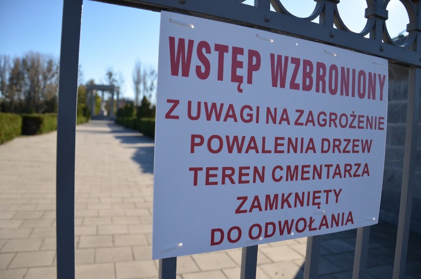 Wrocław: Wojewoda zamknął cmentarz radziecki przy Karkonoskiej. Powód? "Zagrożenie życia"