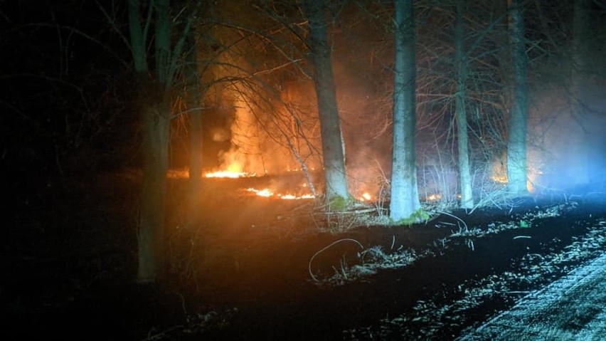 Seria pożarów w regionie. Ruszył sezon na wypalanie traw (zdjęcia)