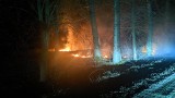 Seria pożarów w regionie. Ruszył sezon na wypalanie traw (zdjęcia)