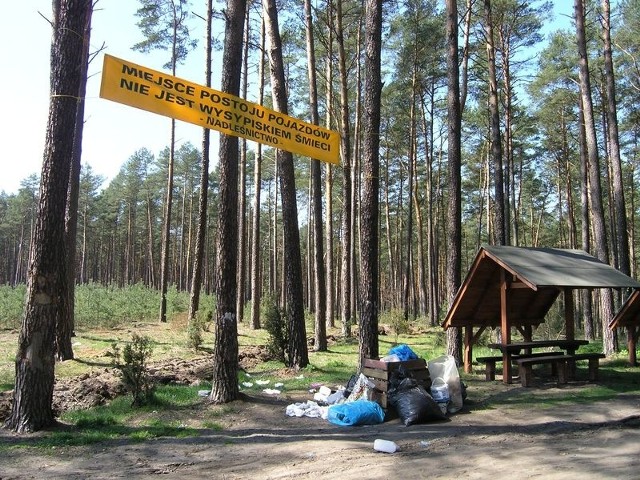 To postój, a nie wysypisko śmieci? To skąd się tu wzięły worki pełne odpadków?