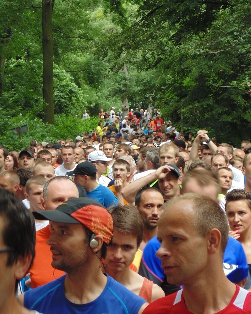 XI Bieg Opolski na Bolko
XI Bieg Opolski na Bolko