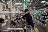 Toyota. Polska fabryka uruchomiła produkcję nowego silnika