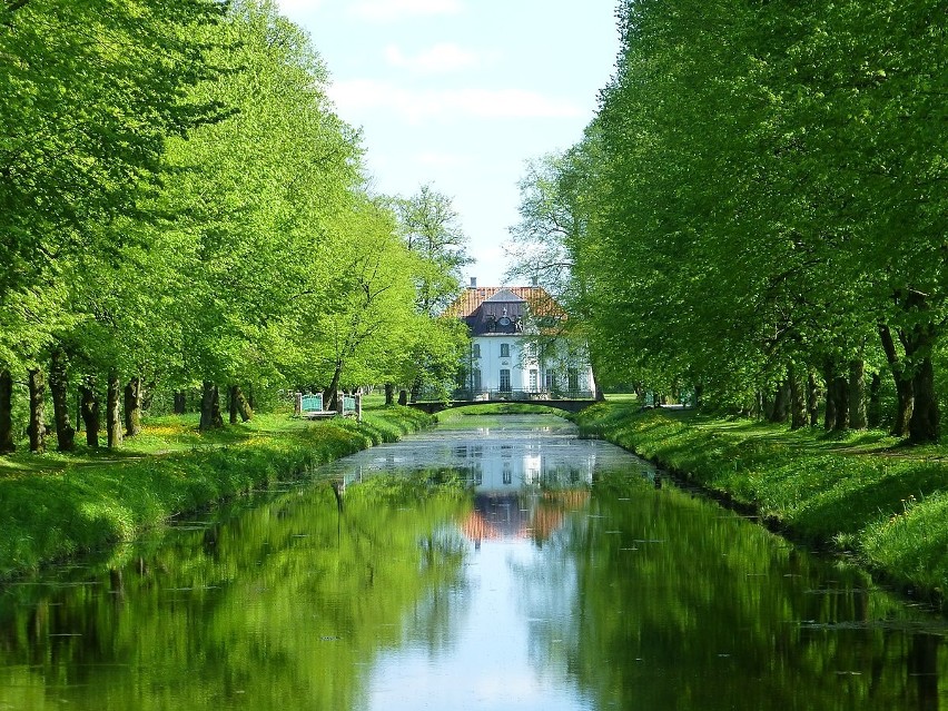 Park i staw pałacowy w Choroszczy.