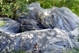 Dzikie wysypisko śmieci nad jeziorem Wielim w Szczecinku [zdjęcia]