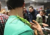 Noc Biologów w Szczecinie. Można zobaczyć pajęczaki, węże i owady [WIDEO]