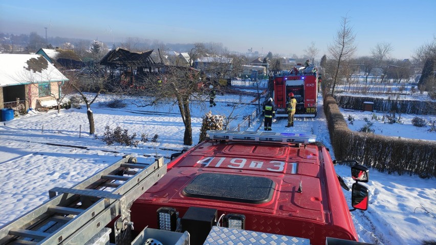 Pożar altanki w ogródkach działkowych w Sędziszowie. Z ogniem walczyły cztery zastępy strażackie
