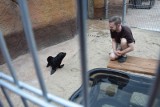 Wrocławskie zoo przyjazne niepełnosprawnym