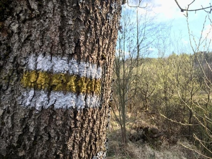 Wisła ze swoimi różnorodnymi atrakcjami czeka na turystów.