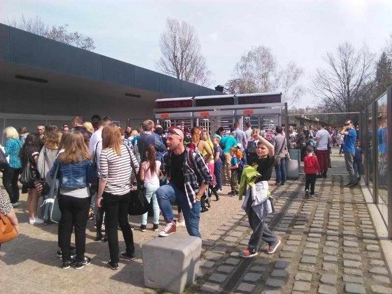 Tłumy w zoo Wrocław - w weekend 11-12.04.2015 r. zoo...