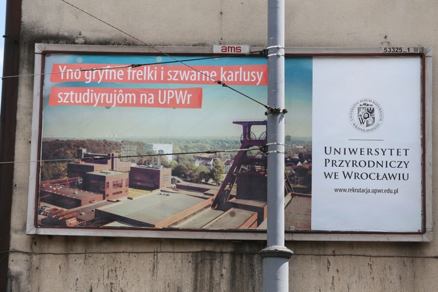 Reklamy po Śląsku: Światowe koncerny, ale i szkoły czy uczelnie zabiegają o Ślązaków 