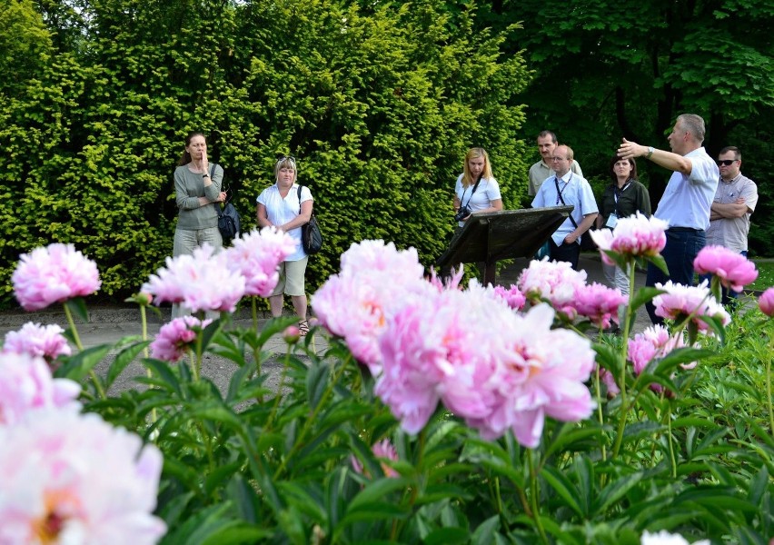 XLIV Zjazd Ogrodów Botanicznych i Arboretów w Lublinie (ZDJĘCIA)