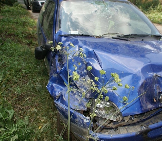 Renault, który &#8222;zaparkował&#8221; w rzece miał z przodu wyraźne wgniecenie świadczące o tym, że kierowca próbował pokonać strumyk i wyjechać z wody.