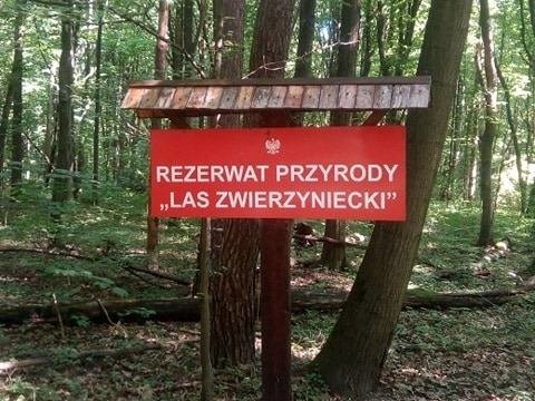 Białystok. Zwłoki mężczyzny w Lesie Zwierzynieckim. 24-latek miał ranę postrzałową głowy (zdjęcia)