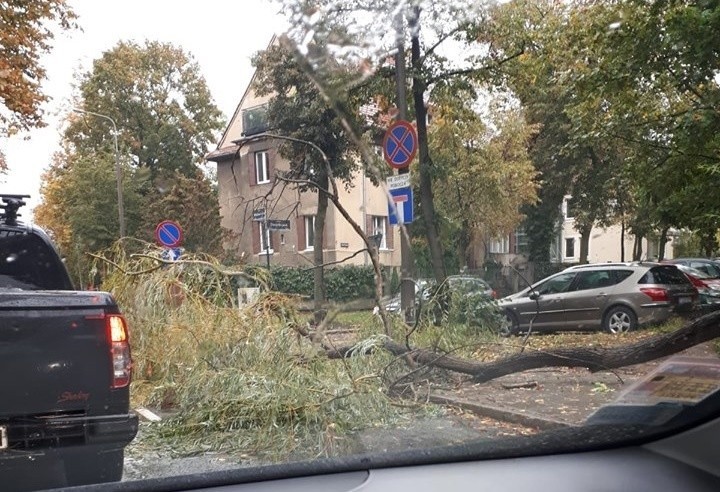 Około południa w Poznaniu pojawił się bardzo silny wiatr,...