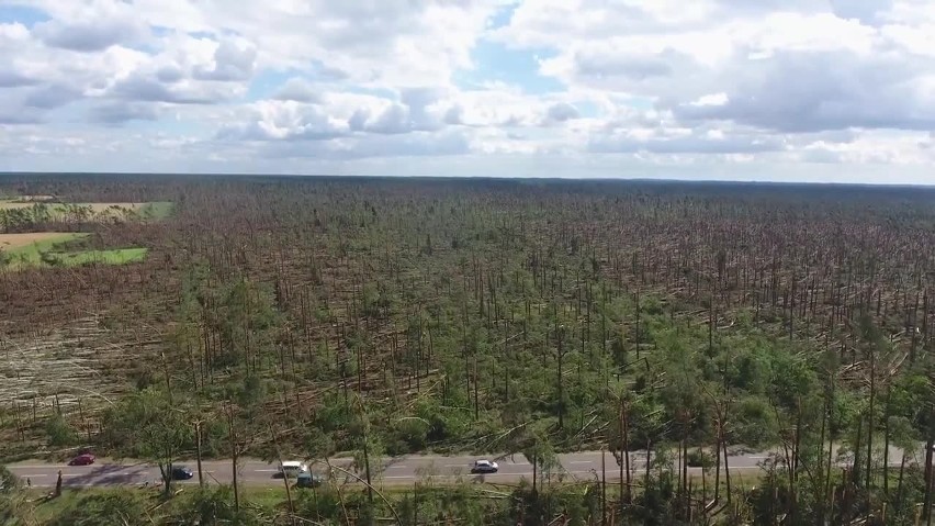 Tragedia w powiecie chojnickim. Ogromne zniszczenia w lasach. Wideo z drona 