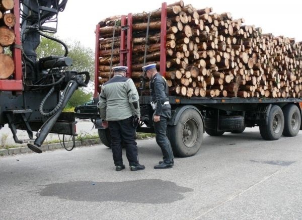 Policjanci i Inspektorzy na służbowych motocyklach, zatrzymywali kierowców, którzy próbowali omijać punkty kontrolne.