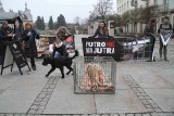 Happening z okazji Dnia Bez Futra, pod hasłem „Futro nie ma jutra” na placu Artystów w Kielcach