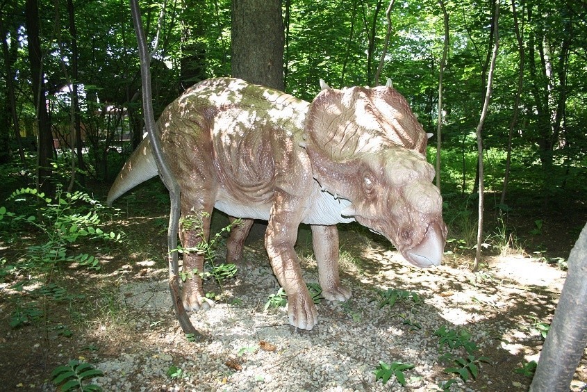 Zatorland w Zatorze pełen jest dinozaurów. Teraz można będzie zobaczyć je też nocą