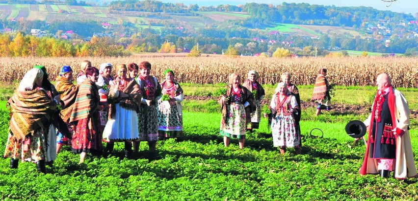 Mieszkańcy Zielonek, Bibic, Węgrzc i Pękowic na sesji...