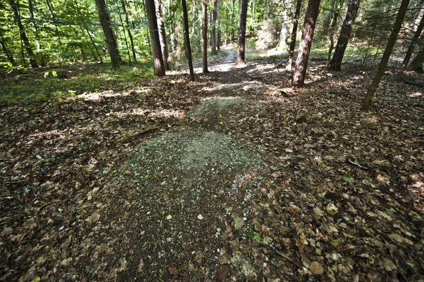 Single track powstał w ramach Koszalińskiego Budżetu...