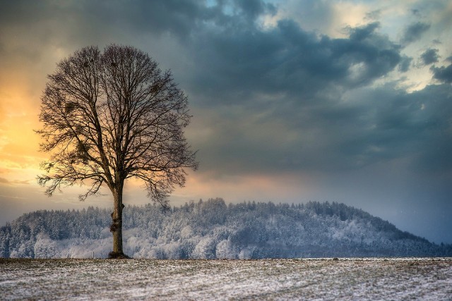 Jaka pogoda będzie panowała w styczniu w naszym regionie? Czy jest szansa na śnieg? Zobacz prognozy synoptyk&oacute;w na najbliższy miesiąc.Styczeń przywita nas temperaturą bliską zera. Niewykluczone są opady śniegu, kt&oacute;re mogą pojawić się w niedzielę 3 stycznia. Czy biały puch ma szansę utrzymać się dłużej? Czy nad Polskę nadciągnie arktyczne powietrze? Sprawdziliśmy prognozy dla naszego regionu przygotowane przez synoptyk&oacute;w znanego amerykańskiego serwisu pogodowego AccuWeather.com. Zobacz wideo: Nie takie proste, ale śmieszne. Pies uczy się chodzić w zimowych bucikach&lt;script async defer class=&quot;XlinkEmbedScript&quot;  data-width=&quot;640&quot; data-height=&quot;360&quot; data-url=&quot;//get.x-link.pl/bf7843ae-8c3a-963a-c858-88a5d2736fab,fdc24058-5bf2-0ef2-59eb-cda5c173b259,embed.html&quot; type=&quot;application/javascript&quot; src=&quot;//prodxnews1blob.blob.core.windows.net/cdn/js/xlink-i.js?v1&quot; &gt;&lt;/script&gt;wideo: STORYFUL/x-newsPolecamy także: Seria niezwykłych zjawisk na lubuskim niebie. Te zdjęcia musisz zobaczyć