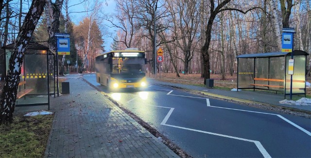 W Dąbrowie Górniczej w 2022 roku pojawiły się 53 nowe wiaty przystankowe, a w tym roku ma ich być jeszcze 27 Zobacz kolejne zdjęcia/plansze. Przesuwaj zdjęcia w prawo naciśnij strzałkę lub przycisk NASTĘPNE