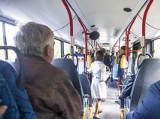 Dąbrowa Górnicza. W połowie kwietnia ma się pojawić nowa linia autobusowa 639. Dokąd nią dojedziemy?