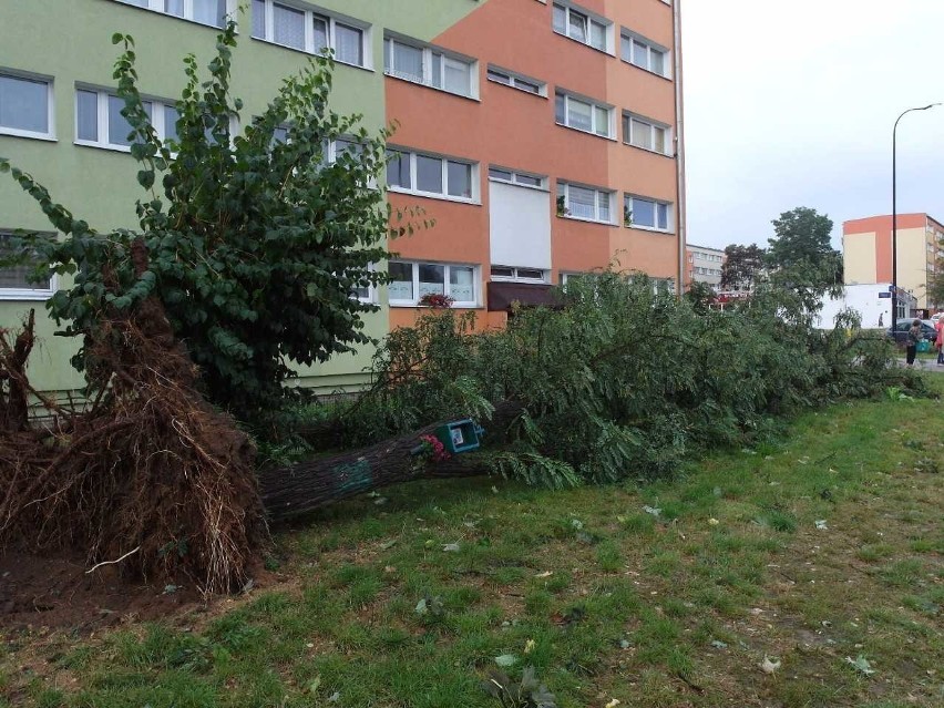 Burza w Łodzi. Nawałnica nad Łodzią. Powalone drzewa, gałęzie na drogach, zalane ulice [ZDJĘCIA]