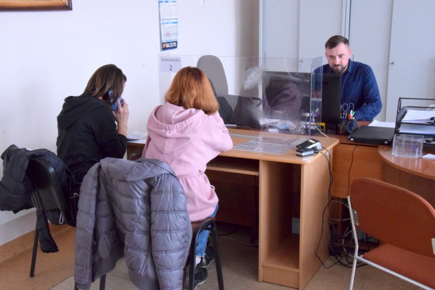 Ukraińcy składają wnioski o nadanie numeru PESEL w gminach powiatu kieleckiego. Jak było pierwszego dnia? Zobacz raport [WIDEO, ZDJĘCIA]