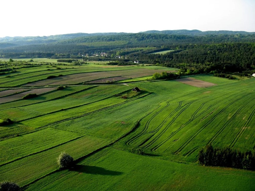 Jura Krakowsko-Częstochowska z lotu ptaka [ZDJĘCIA]