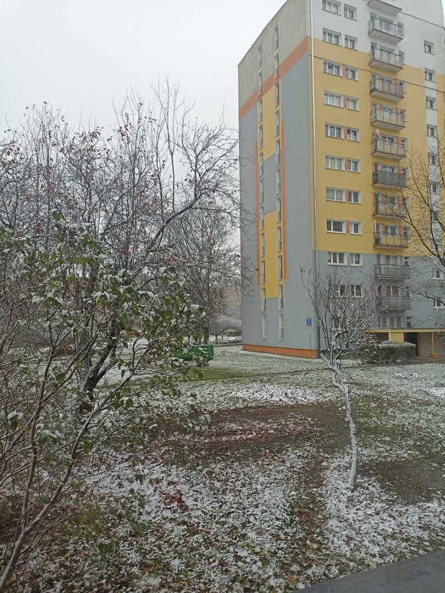 Weekend w Łodzi stoi pod znakiem pierwszych opadów śniegu, a temperatury oscylują w okolicach zera.