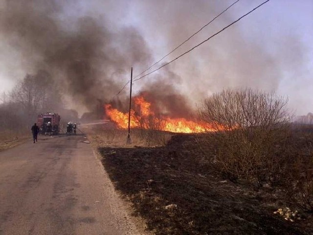 12 marca &#8211; pożar na nieużytkach w Silpi Dużej, w gminie Włoszczowa.