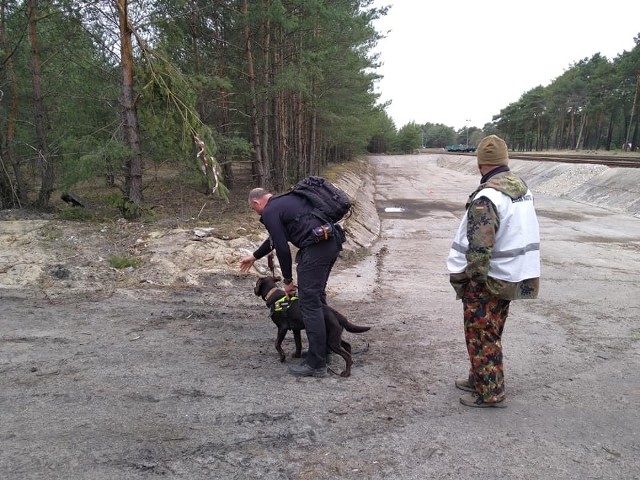 Sesja egzaminacyjna psów ratowniczych na terenie Poligonu Wojsk Lądowych w Pstrążu