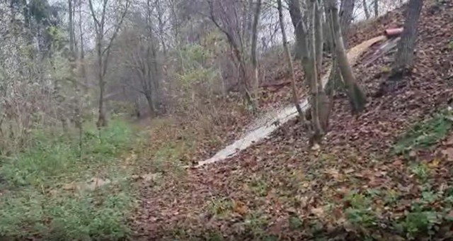 Właściciel działki w Siemirowicach zarzuca gminie Cewice, że spuszczała rurą wodę i zalała teren, który planował sprzedać