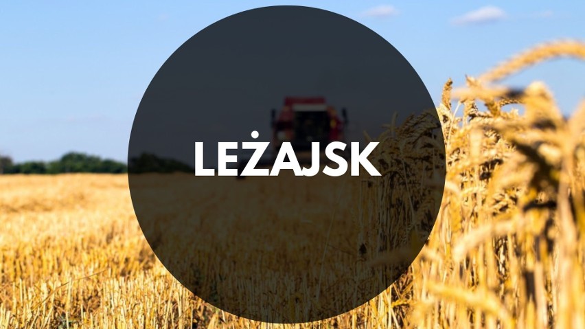 LEŻAJSK - 25,6%...