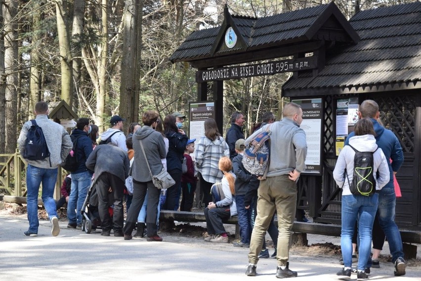 W niedzielę, 11 kwietnia setki ludzi zjechały na Święty...