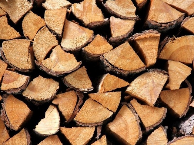 Wyhamowaniu cen powinna sprzyjać też większa sprzedaż drewna z Lasów Państwowych