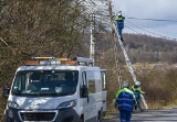 Wiatr spowodował ogromne zniszczenia na Śląsku. 395 tys. odbiorców bez prądu w całej Polsce. Kiedy będzie prąd? [12.3.2019]