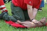 Szkolenie dla sandomierzan z udzielania pierwszej pomocy