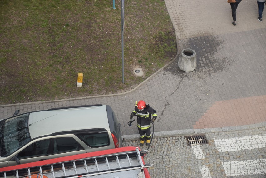 Białystok. Palił się kosz na śmieci w centrum miasta. Potrzebna była interwencja straży pożarnej [ZDJĘCIA]