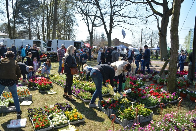 Powiatowe Targi Ogrodniczo-Rolnicze w Sypniewie co roku cieszą się dużym zainteresowaniem wśród mieszkańców regionu.