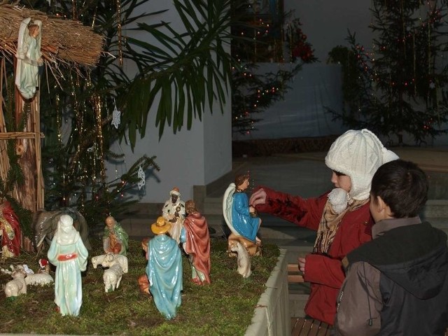 We wszystkich kościołach w powiecie pińczowskim przygotowano bożonarodzeniowe szopki, które zachwycały najmłodszych mieszkańców regionu. Na zdjęciu szopka w kościele pw. Miłosierdzia Bożego w Pińczowie.  