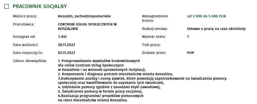 Najnowsze oferty pracy z Koszalina i regionu. Kogo poszukują pracodawcy? 14.11.2023