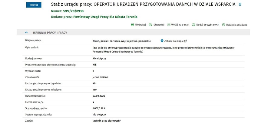 Najnowsze oferty pracy w Toruniu. Tu szukają pracowników