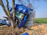 Ciężarówka wjechała w drzewo w okolicach Templewa. Kabina kierowcy została zmiażdżona 