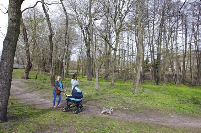 W parku Nadolnik znów rozpoczną się prace. Powstanie plac zabaw i ścieżka rowerowa