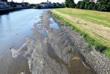 Wody w Odrze z roku na rok jest coraz mniej. Zapomnieliśmy o zwyczajach naszych przodków, którzy przykładali większą wagę do retencji