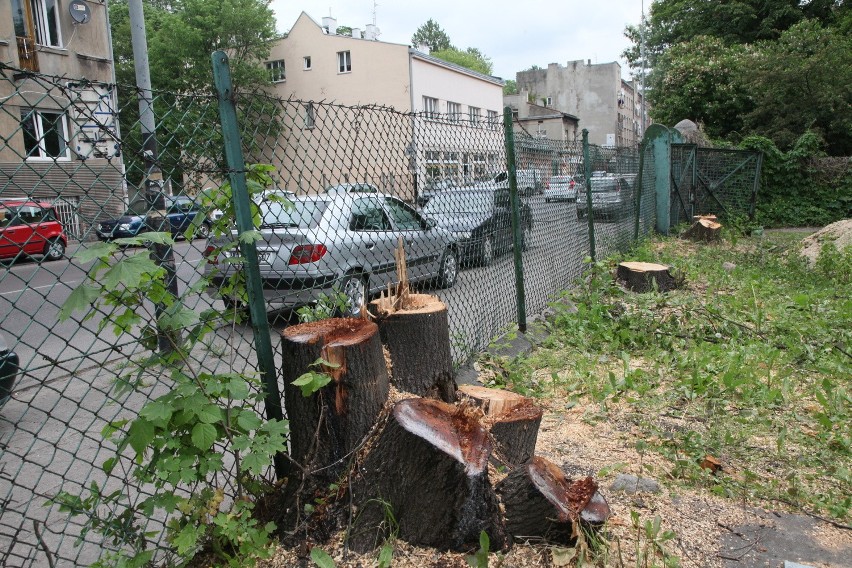 Wycięto ponad 20 drzew przy Radwańskiej. Inwestor nie ma jeszcze koncepcji budynku [ZDJĘCIA]