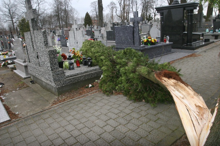 Ostrów. Cmentarz po wichurze. Połamane drzewa, potłuczone znicze. 20.02.2022 ostrowianie sprzątają groby bliskich. Zdjęcia
