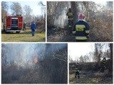  Podpalili krzaki. Zaczęły wybuchać pociski